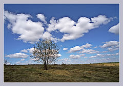photo "***"