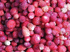 фото "Вкусно!"