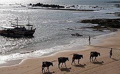 photo "Morro de Sao Paulo"