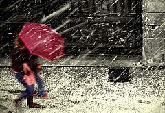 photo "It's snow!!"