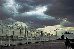 photo "Loneliness"
