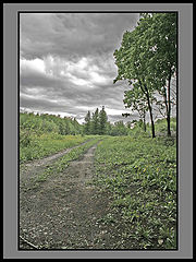 фото "Перед дождем..."