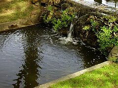 фото "Estoril garden II"