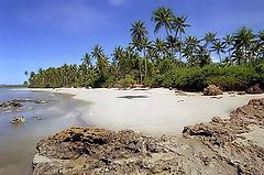 photo "Boipeba"