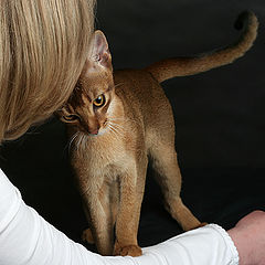 photo "About Luv"