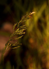 photo "Way to top."