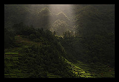 photo "A light."