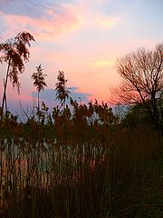 photo "***"
