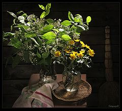 photo "Yellow flowers"