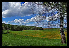 photo "***"