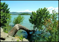 фото "Isola"