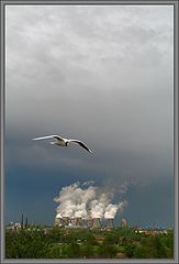 photo "***"