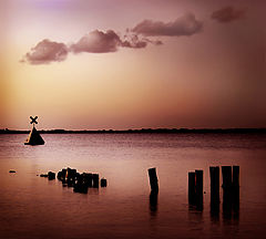 photo "Rhythms"