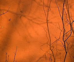 photo "***"