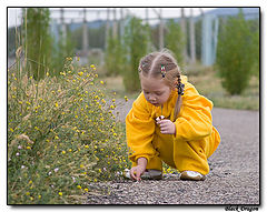 photo "One floret, two floret"