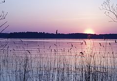 фото "Розовый вечер"