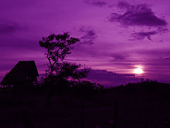 фото "purple sunset"