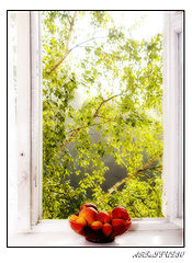 photo "***"