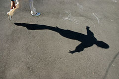 album "Shadows"