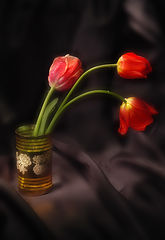 photo "flowers"