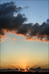 photo "***"