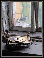 фото "В старом доме"