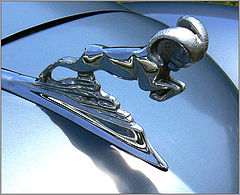 photo "Dodge"