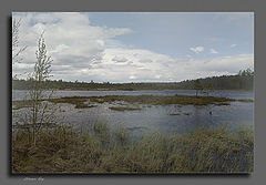 photo "***"