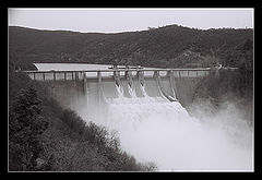 фото "*"