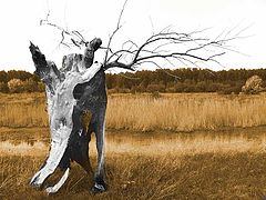 фото "Единочество"