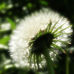 photo "The generator of light"