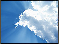 photo "Irradiation"
