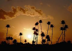 photo "Dancing at the Sunset  -  Танцующие на закате."