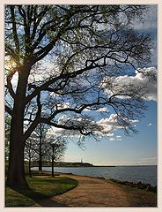 photo "***"