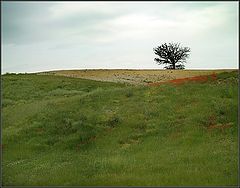 photo "Umbria"