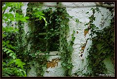 photo "deprived window"