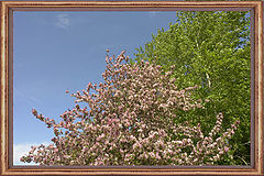 photo "Terrestrial and heavenly"