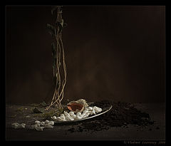 photo "***"