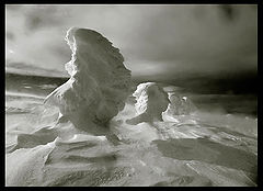 фото "Winter Portraits"