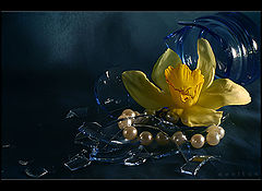photo "about beauty of the broken hearts"