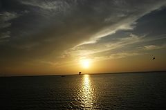 photo "a.a."