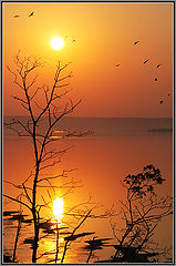 photo "Sunset at the glass of tea..."