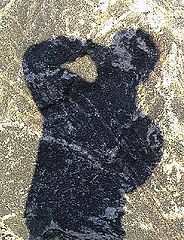 photo "self-portrait on the stone"