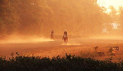 photo "morning of jockeys"