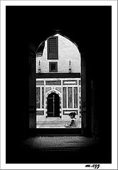 фото "The Gate"