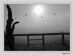 фото "silence"