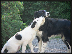 photo "Love"