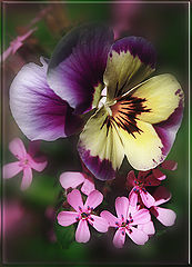 photo "Etude of June"