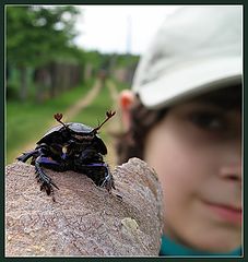 photo "We have a bug here !"