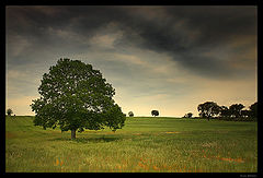 фото "Before a Storm..."